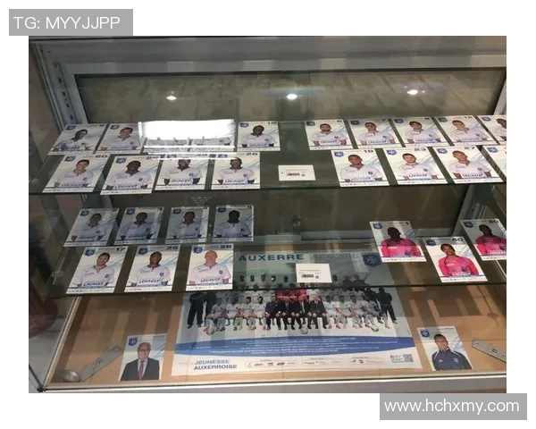 足球明星卡片全景汇编经典回顾三合一深度解析与珍藏价值探讨